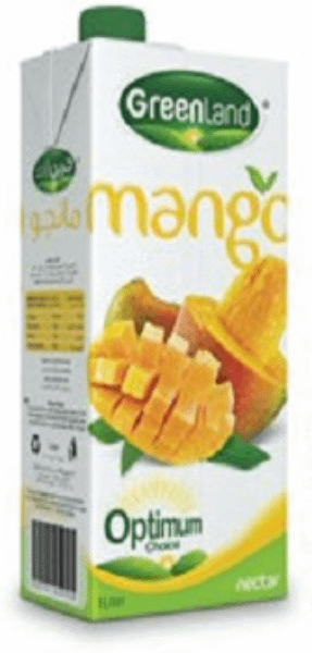 Mango Juice12x1L